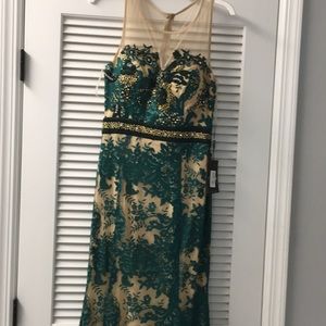 Beautiful Green & Nude Lace Mesh Dress